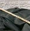 تصویر کوچک شده