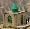 تصویر کوچک شده