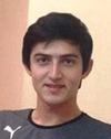 تصویر کوچک شده